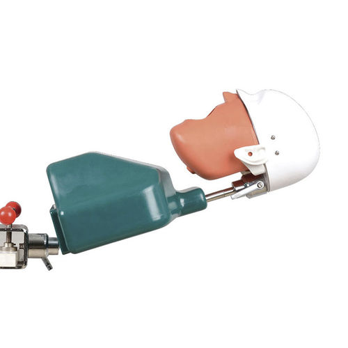 Maniquí de prácticas de implantología - JG-C1 - FOSHAN JINGLE MEDICAL EQUIPMENT CO., LTD - para endodoncia / para higiene dental / para extracción dental