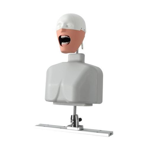 Maniquí de prácticas para cuidados dentales - JG-C8 - FOSHAN JINGLE MEDICAL EQUIPMENT CO., LTD - para higiene dental / para atención general / de formación