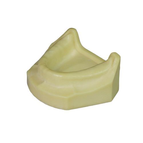 Modelo anatómico para odontología - JG-Y8-F1-9 - FOSHAN JINGLE MEDICAL EQUIPMENT CO., LTD - de encías / quirúrgico / de implantología