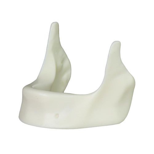 Modelo anatómico de mandíbula - JG-Y12-Y - FOSHAN JINGLE MEDICAL EQUIPMENT CO., LTD - para cuidados dentales / quirúrgico / de implantología
