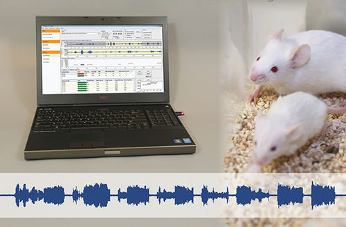 Software de análisis - UltraVox™ XT - Noldus - de captura / para experimentación con animales / de laboratorio
