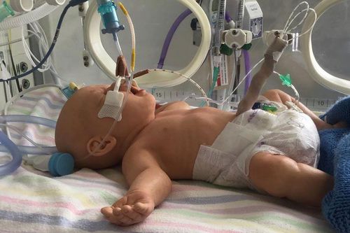 Simulador de paciente de bebé - DDH - LifeCast Body Simulation Ltd - para la gestión de las vías respiratorias / para RCP / para atención pediátrica