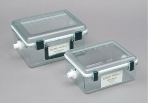 Cámara de inducción de anestesia veterinaria - PS-0344 - Rothacher Medical - para experimentación con animales / para ratones / para ratas