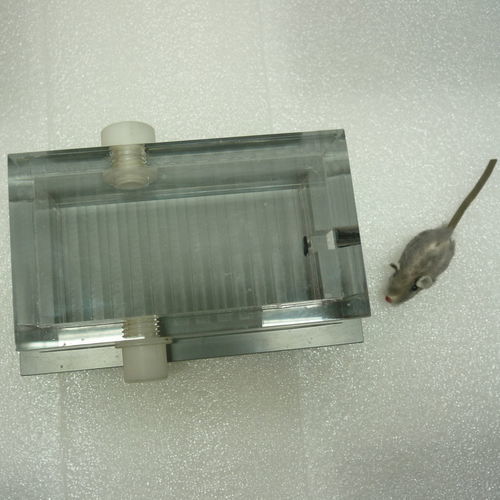 Cámara de inducción de anestesia veterinaria - PS-0351-SIK - Rothacher Medical - para ratones