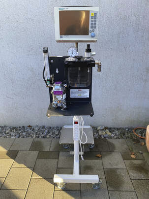 Estación de anestesia veterinaria para animales pequeños - Rothacher Medical - para animales grandes / en carro