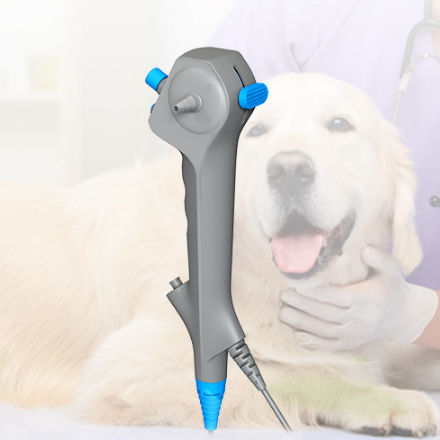 Gastroscopio veterinario vídeo - ABD series - Lianying Medical Technology - para animales pequeños / para animales grandes