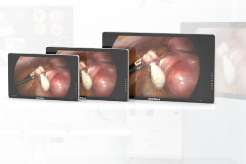 Monitor médico - Lianying Medical Technology - para endoscopia / Full HD / 4K