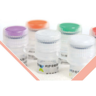 Kit de prueba para enfermermedades infecciosas - BEIJING APPLIED BIOLOGICAL TECHNOLOGIES - de inmunidad / para virus / de enterovirus