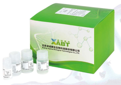 Kit de reactivos de ácidos nucleicos - CN8033-48 - BEIJING APPLIED BIOLOGICAL TECHNOLOGIES - proteinasa K / solución tampón / para extracción de ADN