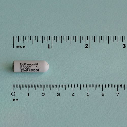 Implante telemétrico para experimentación con animales - DST microRF-T - Star-Oddi - para animales pequeños / de temperatura / implantable