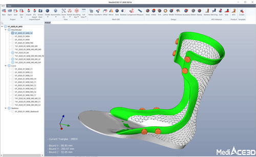 Software para ortopedia - MediACE3D - RealDimension Inc. - para rehabilitación / de diseño / de captura