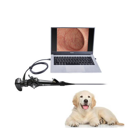 Broncoscopio veterinario vídeo - EU series - Zhuhai Seesheen Medical Technology - para animales pequeños / para perros / con canal operador