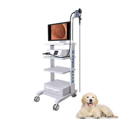 Broncoscopio veterinario vídeo - GU series - Zhuhai Seesheen Medical Technology - para animales pequeños / para animales grandes / para perros