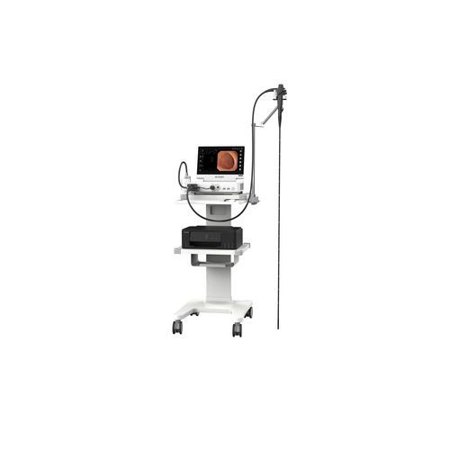 Gastroscopio veterinario vídeo - VHP-1315 pro - Zhuhai Seesheen Medical Technology - para animales grandes
