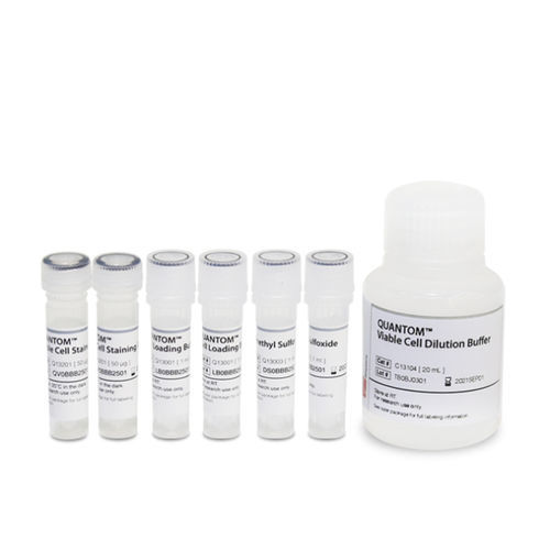 Kit de reactivos solución de coloración - QUANTOM™ - Logos Biosystems - tampón de dilución / tampón de carga / colorante