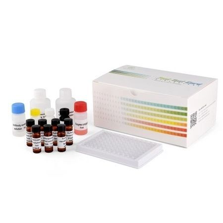 Kit de prueba veterinario - PRRSV - ROC Biotech Inc. - para animales / para virus / de sangre