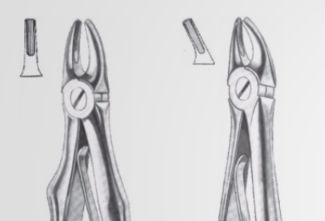 Fórceps de extracción dental para premolares - 12-48-001, 12-48-002 - J+K Chirurgische Instrumente - para incisivos superiores