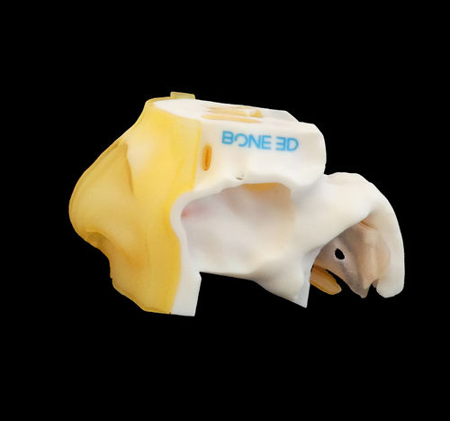 Simulador de formación - NASO-Train  - Bone 3D - de toma de muestras nasofaríngeas / de cirugía / para COVID-19