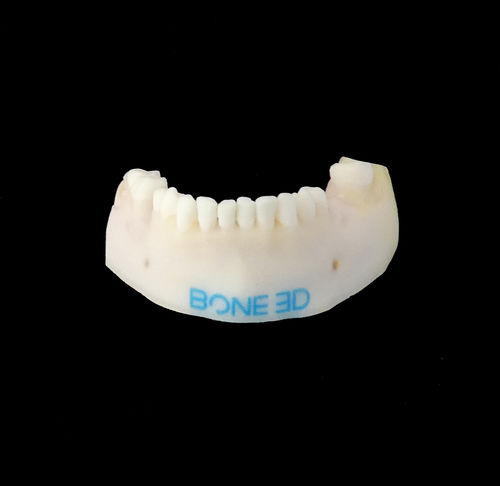 Simulador de formación - BUCCO-Train - Bone 3D - para cirugía dental / para cirugía oral / para cuidados dentales