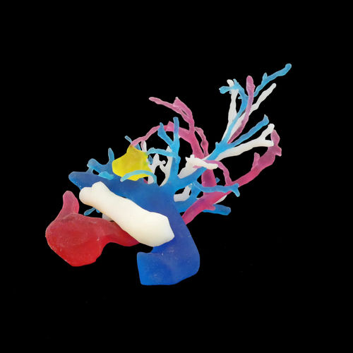 Modelo anatómico de bronquios - Bone 3D - de formación / de mano