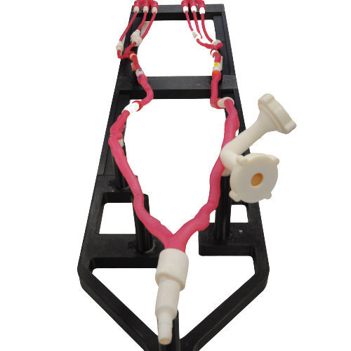 Simulador de formación - VASCULO-Train - Bone 3D - para acceso vascular / de punción / de cateterismo
