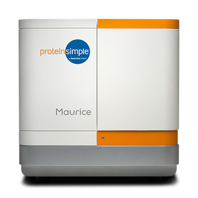 Sistema de electroforesis capilar - Maurice - ProteinSimple - para focalización isoeléctrica / SDS / para proteínas