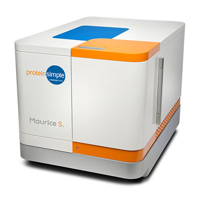 Sistema de electroforesis de IgG - Maurice S. - ProteinSimple - CE / SDS / de mesa