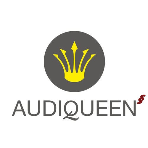Software de control de equipos - AUDIQUEEN  - Otoconsult - para audiometría / de ORL / de hospital