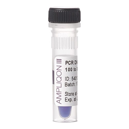 Escalera de ADN - A610341 - Ampliqon A/S - para PCR / de ácidos nucleicos / para cuantificación de ADN