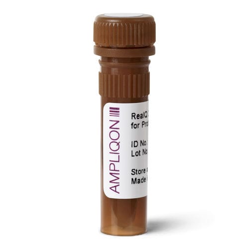 Reactivo ADN polimerasas - A31 series - Ampliqon A/S - para PCR en tiempo real / líquido / de arranque en caliente