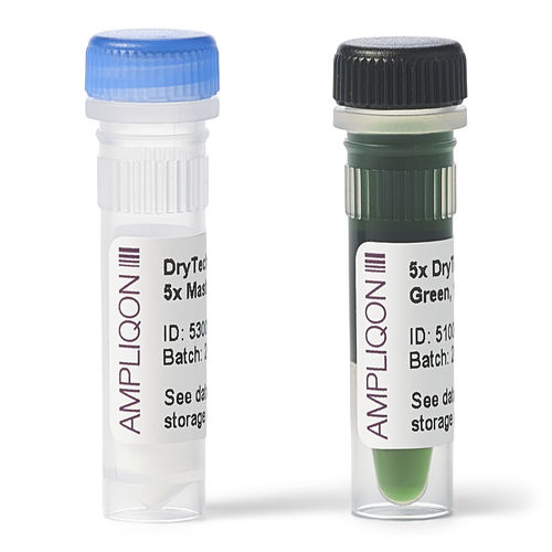 Reactivo ADN polimerasas - DryTech - Ampliqon A/S - colorante / para PCR / liofilizado