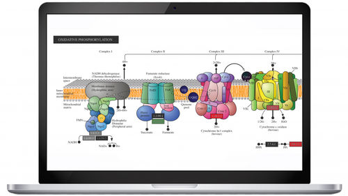 Software de análisis - Pathway™ - Partek, Inc. - de genética / de laboratorio