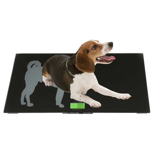 Balanza veterinaria electrónica - LC-VS series - LW MEASUREMENTS Europe S.L. - con pantalla LCD