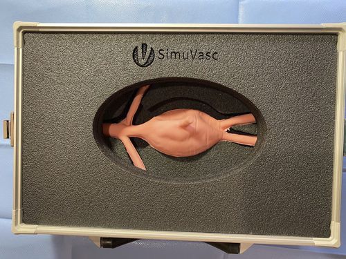 Simulador de aneurisma de aorta abdominal - AAA - SimuVasc - de formación / para atención general