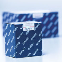 Kit de prueba para CMV - artus - QIAGEN - para la investigación / para extracción del ADN / de trombomodulina