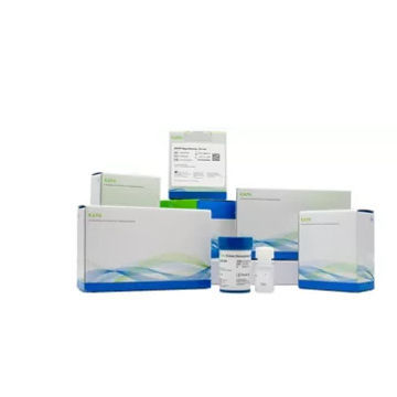 Kit de reactivos en solución - KAPA  - Roche Sequencing Solutions - para la investigación / para preparación de pruebas / NGS
