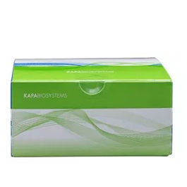 Kit de reactivos en solución - KAPA - Roche Sequencing Solutions - ADN polimerasas / para la investigación / NGS