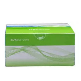 Kit de reactivos en solución - KAPA HyperPlus - Roche Sequencing Solutions - para la investigación / NGS
