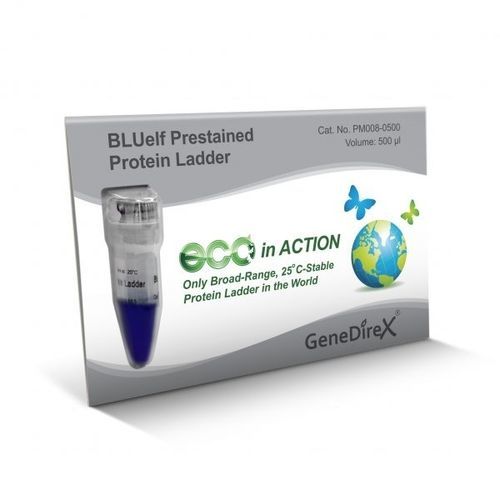 Escalera de proteínas - BLUelf   - GeneDireX, Inc. - para western blot