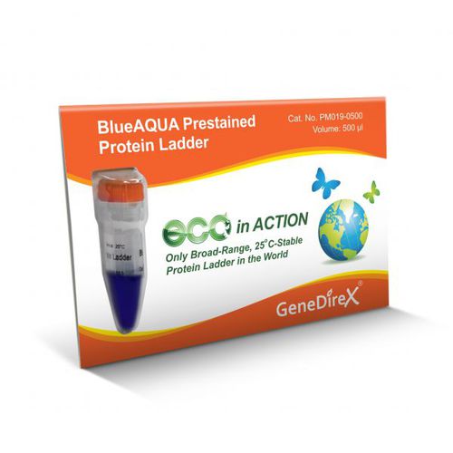 Escalera de proteínas - BlueAQUA - GeneDireX, Inc. - para western blot