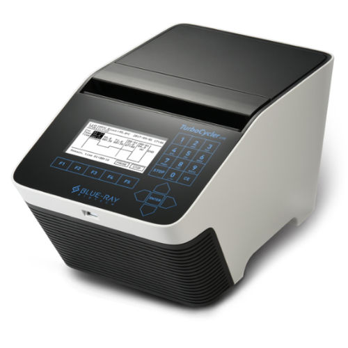 Termociclador con función gradiente - TurboCycler Lite - Blue-Ray Biotech - de 96 orificios