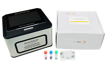Kit de prueba veterinario - CareDx™ - Genesystem Co., Ltd. - para cánidos / en tiempo real / para PCR