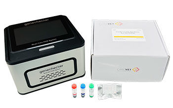 Kit de prueba de enfermedades respiratorias - CareDx™ - Genesystem Co., Ltd. - para enfermermedades infecciosas / para felinos / para bacterias