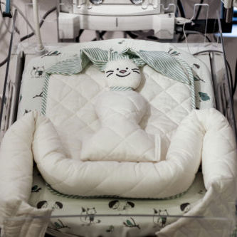 Cuna hospitalaria - Kitwana Bunny - Baby Comfort