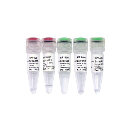 Kit de reactivos retrotranscriptasa - ExcelRT™ - SMOBIO Technology, Inc. - para PCR en tiempo real / de pH / para virus