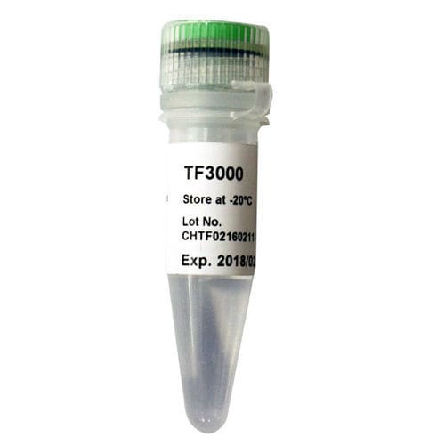 Reactivo ADN polimerasas - G-HiFi™ - SMOBIO Technology, Inc. - polimerasa Taq / para análisis de ADN / de pH