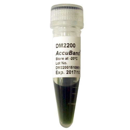 Escalera de ADN - AccuBand™  - SMOBIO Technology, Inc. - colorante / de electroforesis / de pH