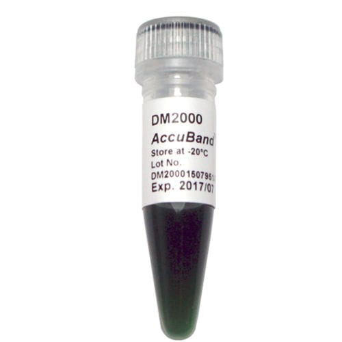 Reactivo gel de agarosa - AccuBand™ - SMOBIO Technology, Inc. - enzima / colorante / para biología molecular