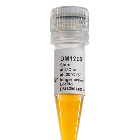 Escalera de ADN - DM1200 - SMOBIO Technology, Inc. - enzima / colorante / de electroforesis
