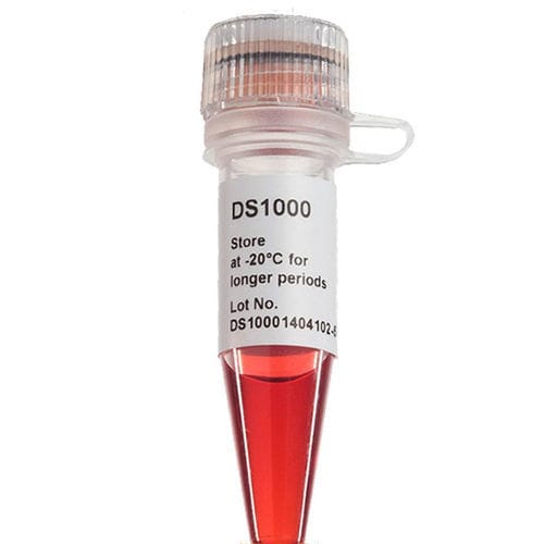 Reactivo colorante - FluoroStain™ - SMOBIO Technology, Inc. - para extracción de ADN